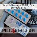 What Is Kamagra 100Mg Oral Jelly Used For new15